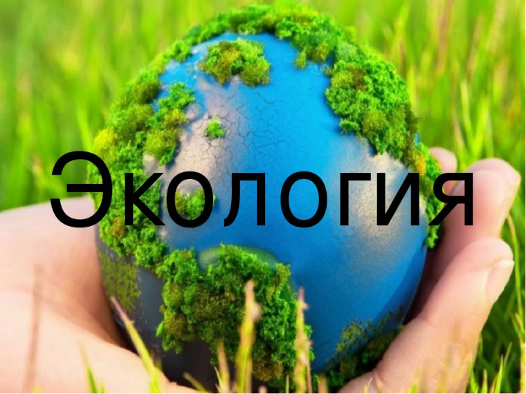 Экология – это всё, что нас окружает.